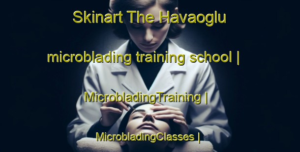 Skinart The Havaoglu microblading training school | MicrobladingTraining | MicrobladingClasses | SkinartTraining-Turkey